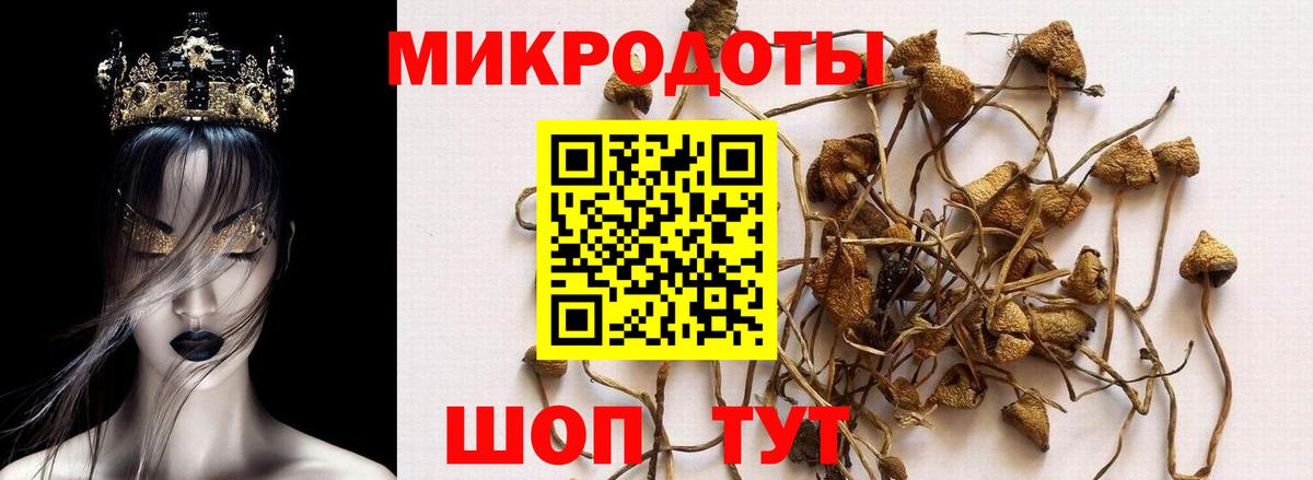 Галлюциногенные грибы мицелий  Вход с VPN  Псилоцибиновые грибы Psilocybine cubensis  Саранск 